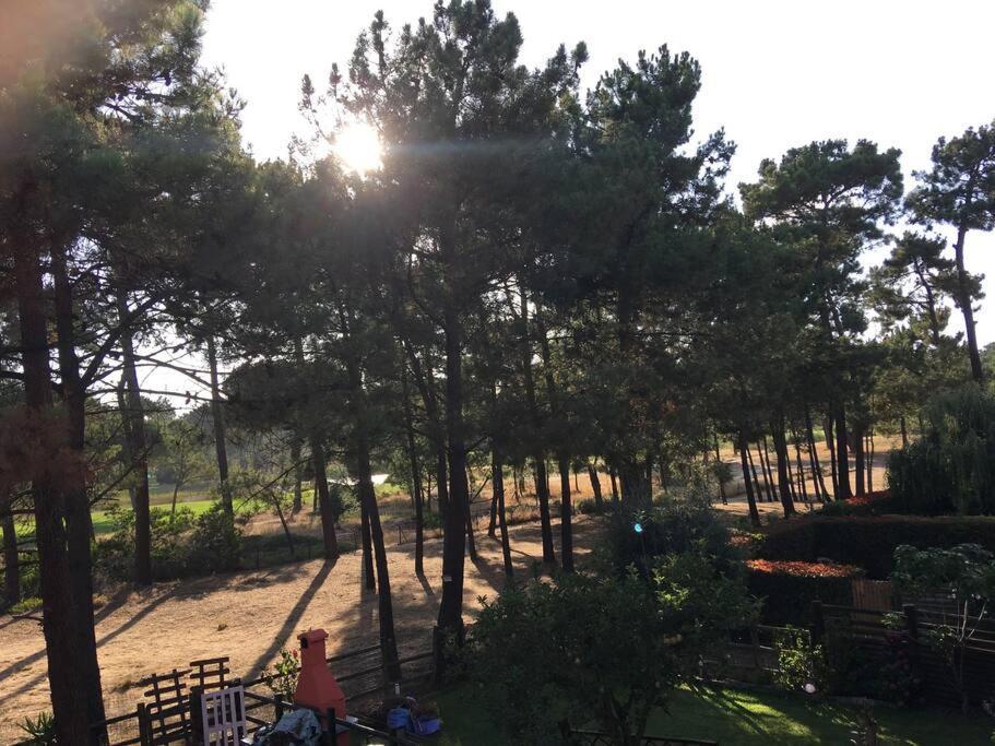 Aroeira Golf Charneca (Setubal)